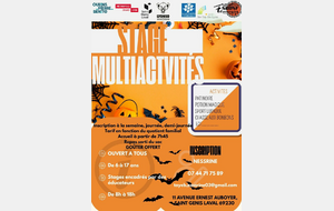 STAGE MULTI-ACTIVITES